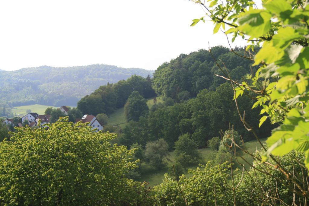 Landidyll Hotel Zum Alten Schloss Kirchensittenbach Номер фото