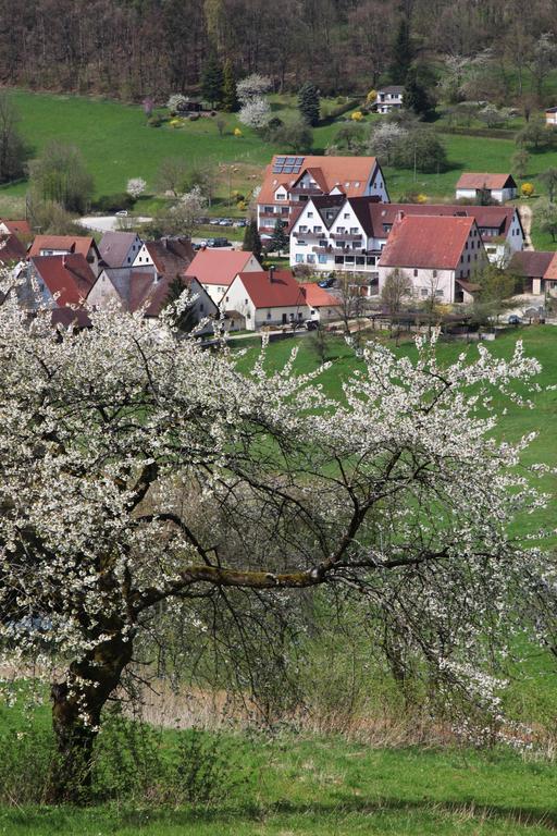 Landidyll Hotel Zum Alten Schloss Kirchensittenbach Номер фото
